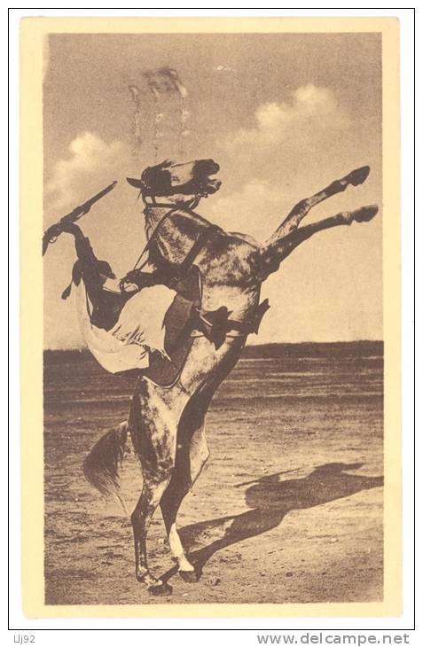 CPA ALGERIE - 133. BOU-SAADA - Cheval cabré