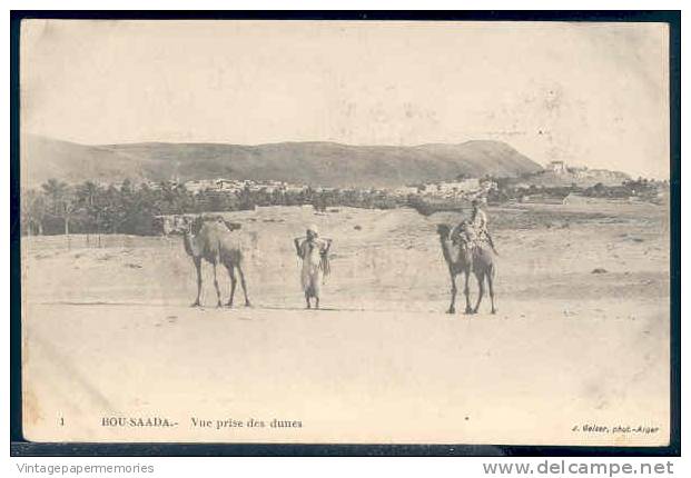 167905-Algeria, Bou Saada, Vue Prise des Dunes, Camels, J. Gelser No 1