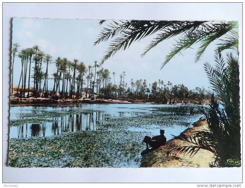 BOU SAADA - La Rivière