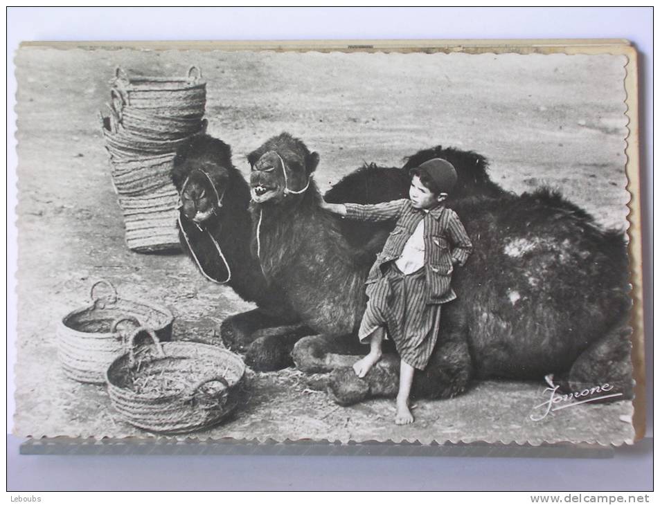 ALGERIE - BOU-SAADA - SOURIRE AU PHOTOGRAPHE - ANIMEE (ENFANT + DROMADAIRES)