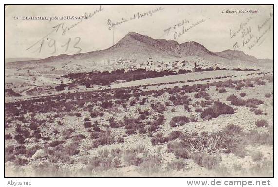 ALGERIE - EL HAMEL près BOU SAADA - nr 14 geiser à alger - d4 757