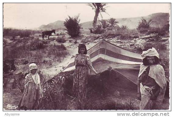 ALGERIE - cpsm BOU SAADA - les ouleds nails dans leurs gourbis - combier à macon - d10 15