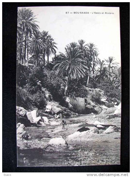 H 252) Algérie - Bou Saada - FP - non viaggiata