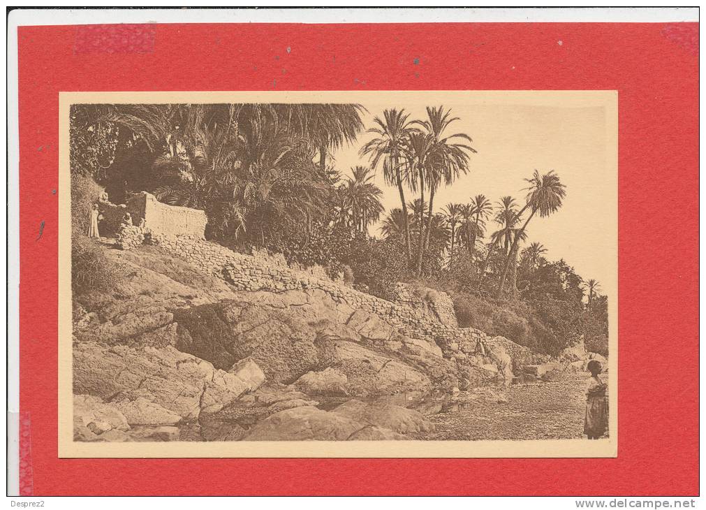 BOU SAADA cpa Dans l' Oued        27 Edit R Prouho