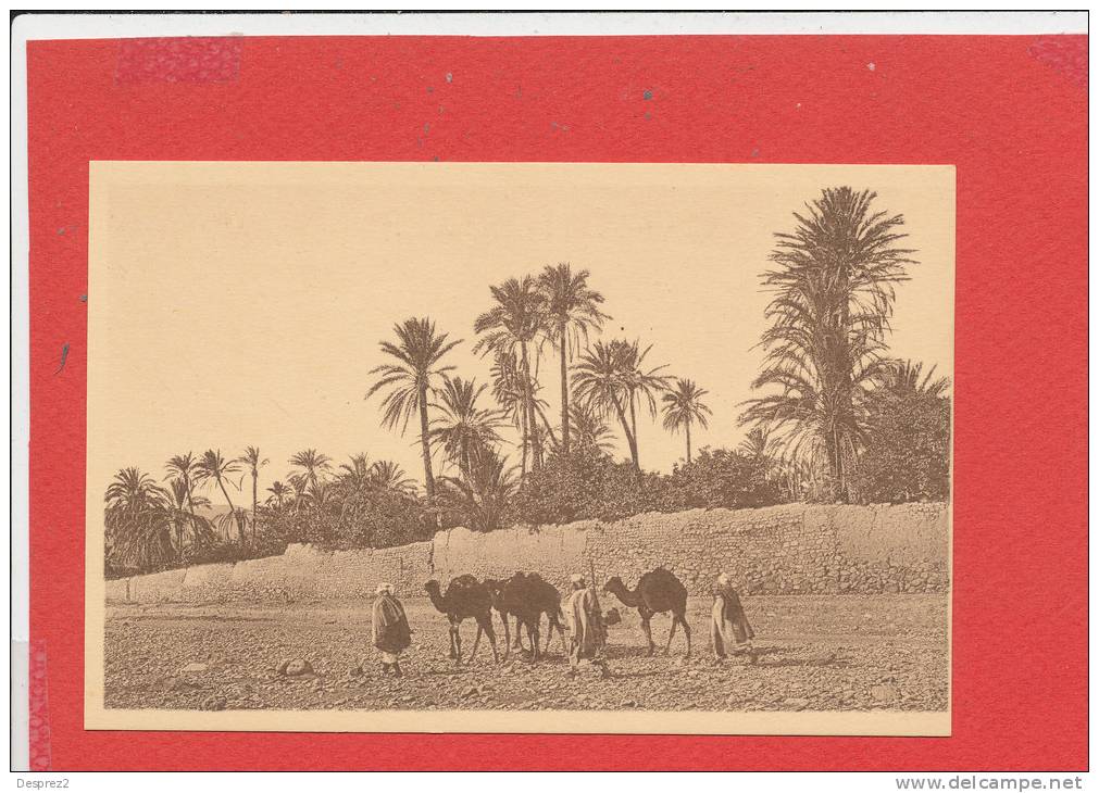 BOU SAADA cpa animée Caravane dans l' Oued          34 Edit R Prouho