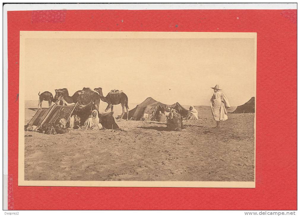 BOU SAADA cpa animée Campement dans le Désert                  35 Edit R Prouho
