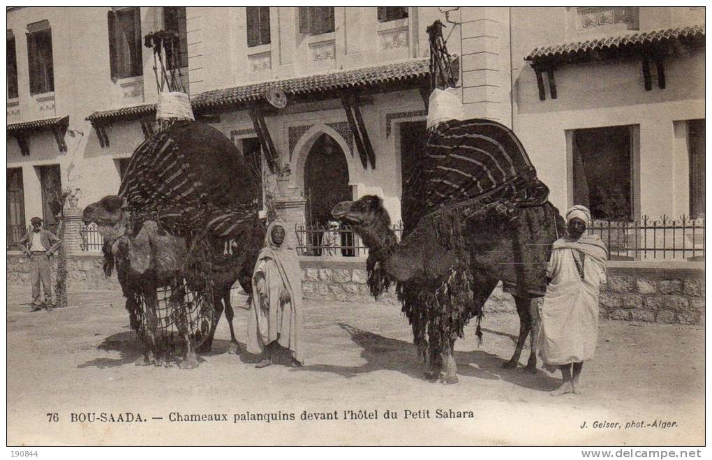 ALGERIE  - BOU-SAADA. -- Chameaux palanquins devant l' hôtel du petit Sahara.