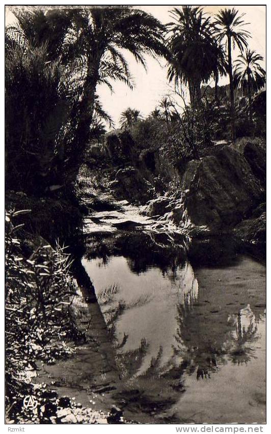 ALGERIE  BOU-SAADA  Une Oasis  ...... ( Ref FA884 )