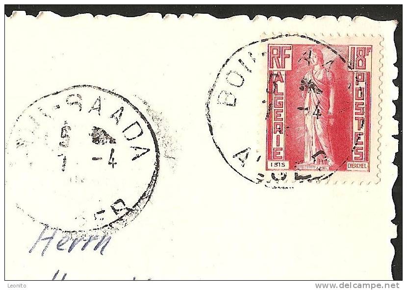 ALGERIE Collection Saharienne Marché dans le Sud Oase Bou-Saada 1955