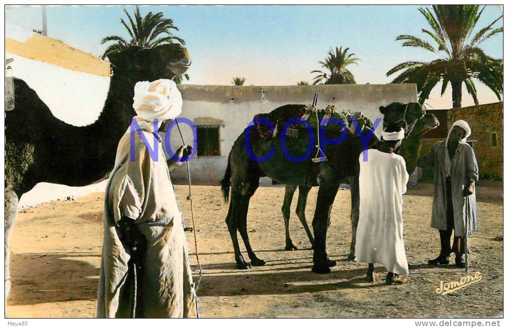 BOU SAADA CITE DU BONHEUR  CHAMELIERS DANS L OASIS