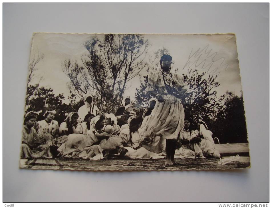 Carte photo de danseuses Ouled Nails à Bou Saada en Algérie . 1964