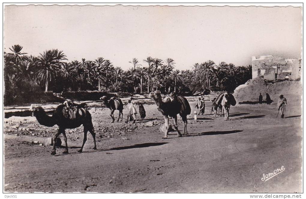9 - BOU SAADA - L'Arrivée d'une Caravane