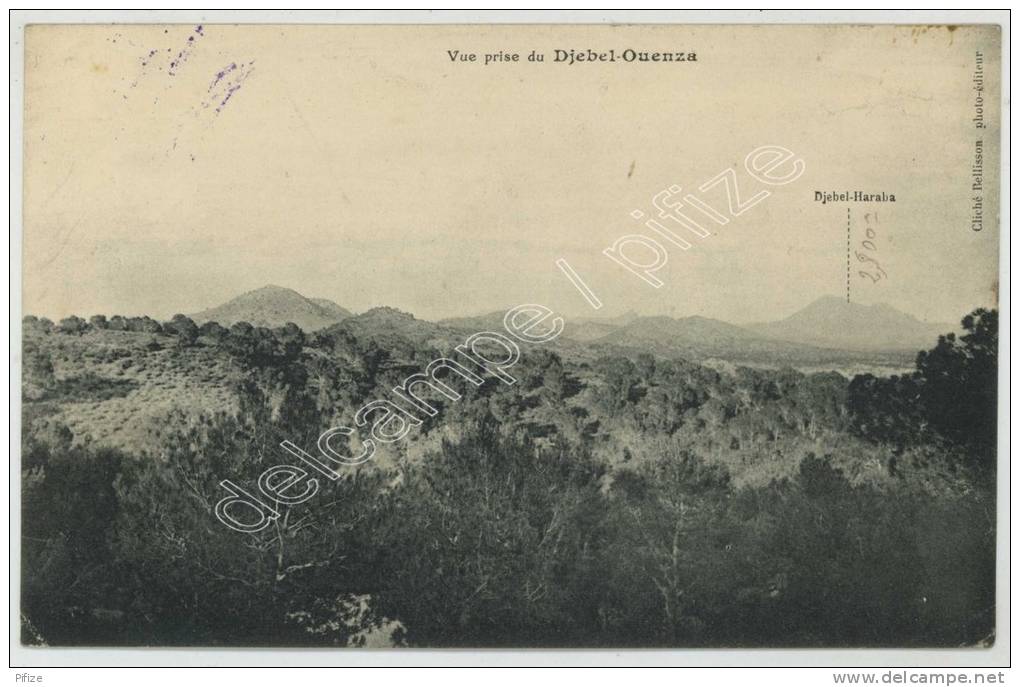 (Algérie) Vue prise du Djebel-Ouenza.