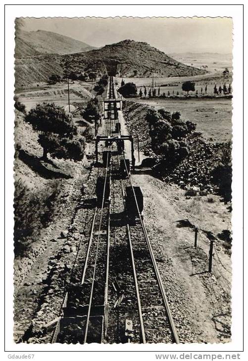 OUENZA CONSTANTINE (ALGERIE) - CPSM (GRAND FORMAT) - TRAINAGE - CHEMIN DE FER