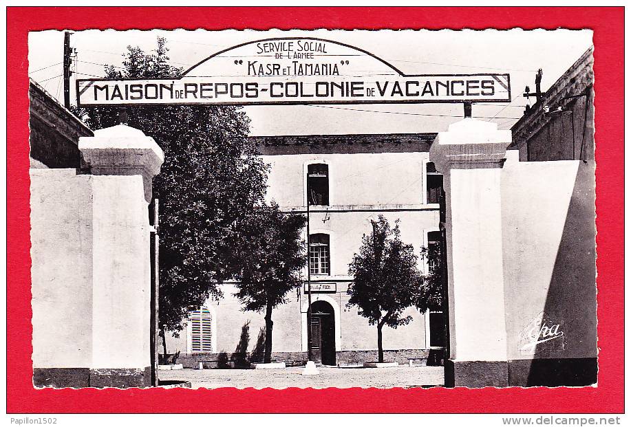 E-Algerie-220P127 COLLO, colonie de vacances, service social de l'armée Kasr et tamania, BE