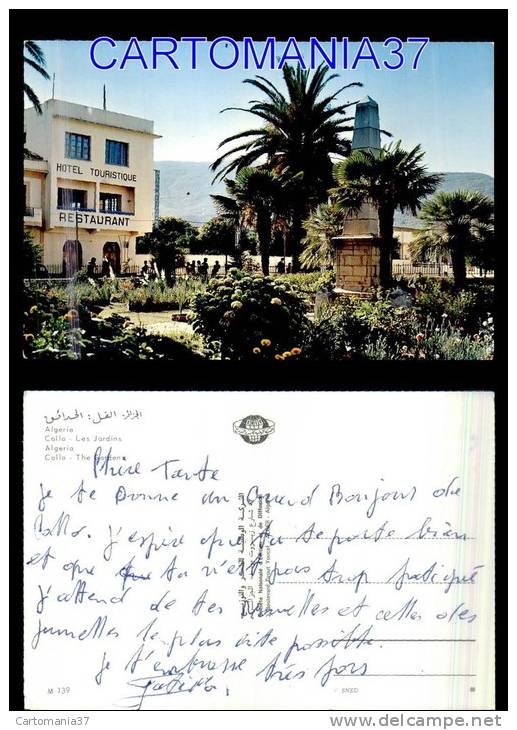 afrique-1433      algerie collo jardins pli