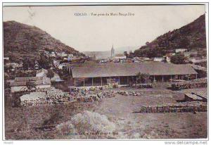 ALGERIE. COLLO. VUE PRISE DU MONT BOCQUILLON. TUILERIE ? .