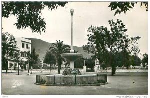 CPSM       Algérie         Collo    la place             animée    F-979