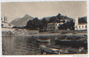 Algérie, Collo, le port, Editions Photo Africaines n°9, CP ayant circulé en 1960, Franchise militaire, Bon état