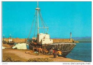 CP.  COLLO.  LE  PORT.