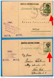 U-124  JUGOSLAVIA  SERBIA VOJVODINA  TWO COLLO TYP I-TYP II  OVERPRINT PROVISORIA   POSTAL CARD