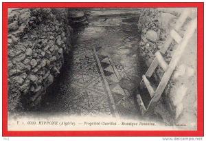 CPA Algérie - Hippone - Propriété Chevillot - Mosaique Romaine