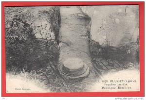 CPA Algérie - Hippone - Propriété Chevillot - Mosaique Romaine