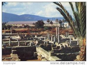 Tlempcen , les ruines d ` Hippone