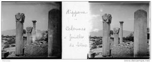 Plaque Photo Stéréo - PP 0106 - ALGERIE - BÔNE - HIPPONE - Colonnes à feuilles de Lotus