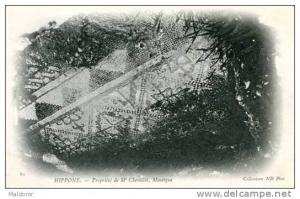 A3  ALGERIE HIPPONE MOSAIQUE de la propriété de Mr CHEVILLOT  N° 80 ND