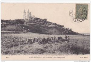 ALGERIE  CONSTANTINE  BONE HIPPONE  basilique St Augustin