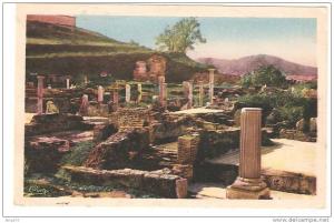 belle cpa BONE (Constantine) . Les Ruines d'Hippone