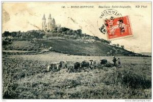 BONE-HIPPONE (Algérie) Basilique Saint-Augustin