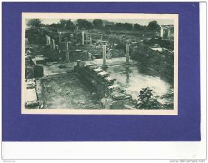 AC336)  HIPPONE  ruines romaines  ( TTB état)