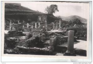 CPSM BONE RUINES D HIPPONE