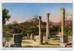 ALGERIE  -  BONE  - RUINES D HIPPONE  -  CPSM 1940/50