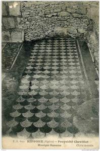 HIPPONE--  PROPRIETE CHEVILLOT   Mosaique Romaine