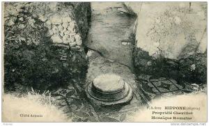 Hippone  Propriete Chevillot ( Mosaique Romaine )