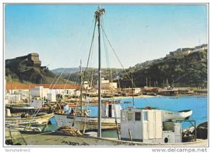 cpsm. gf. BENI-SAF. Le Port de Pêche