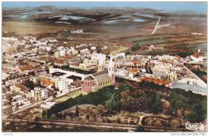 AFRIQUE,AFRICA,Algérie,ai n témouchent,oran,beni saf,photo aerienne combier,terres ,vigne,datte,1950