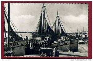 CPSM ALGERIE-  Oran Beni-Saf Le port - Déchargement du poisson - Bateau