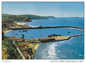 ALGERIA - AK 56411 Beni-Saf - le Port de Peche