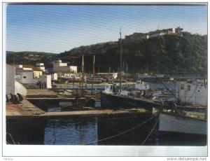 CPM BENI SAF  LE PORT DE PECHE