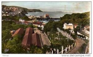 CPSM---  ALGERIE  ORAN  BENI-SAF  route du port -- C117