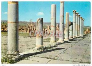 CPM Timgad le Forum