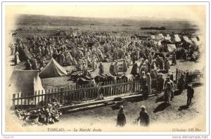 TIMGAD  le Marché Arabe