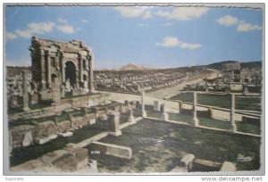 C. Postale  ALGERIE - TIMGAD - Les Ruines romaines