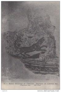 Histoire - Archéologie - Ruines Romaines - Timgad - Mosaique Latrines