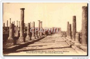 CPA Ruines Romaines De Timgad Vole du Decumanus Maximus Roman Ru