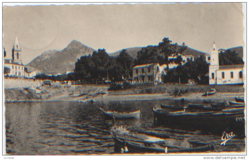 Algérie, Collo, le port, Editions Photo Africaines n°9, CP ayant circulé en 1960, Franchise militaire, Bon état